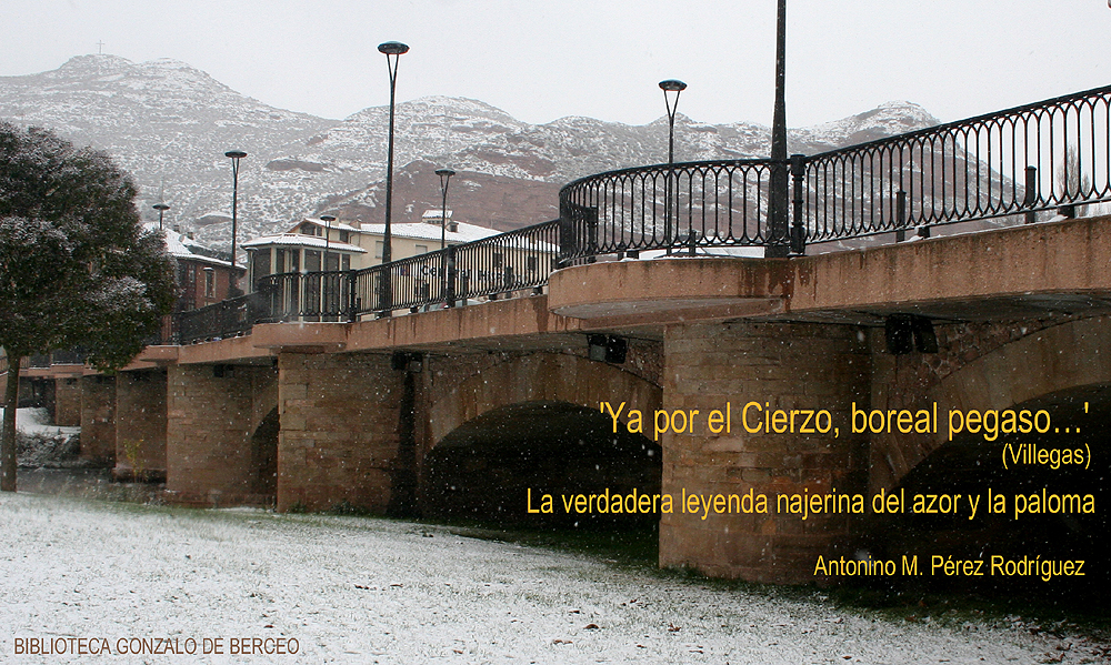 Puente de San Juan de Ortega, Njera (LA RIOJA).Nevando... 8 de Enero de 2009.