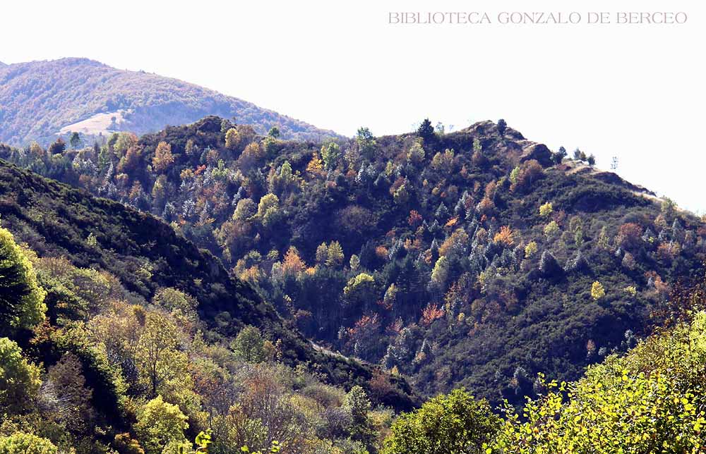El otoño pinta de nuevo las agrestes laderas de los montes de la Sierra de la Demanda, cercanos a las aldeas de Ezcaray.