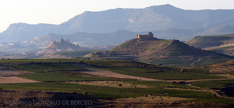 Junto al ro Ebro y rodeado de viedos, el castillo de Davalillo; al fondo la Sonsierra riojana con la torre y las almenas de San Vicente