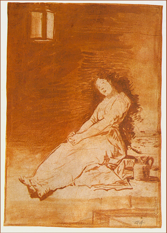Click para ver caractersticas del dibujo. Mueva el ratn y aparecera en su esplendor la obra de Goya.